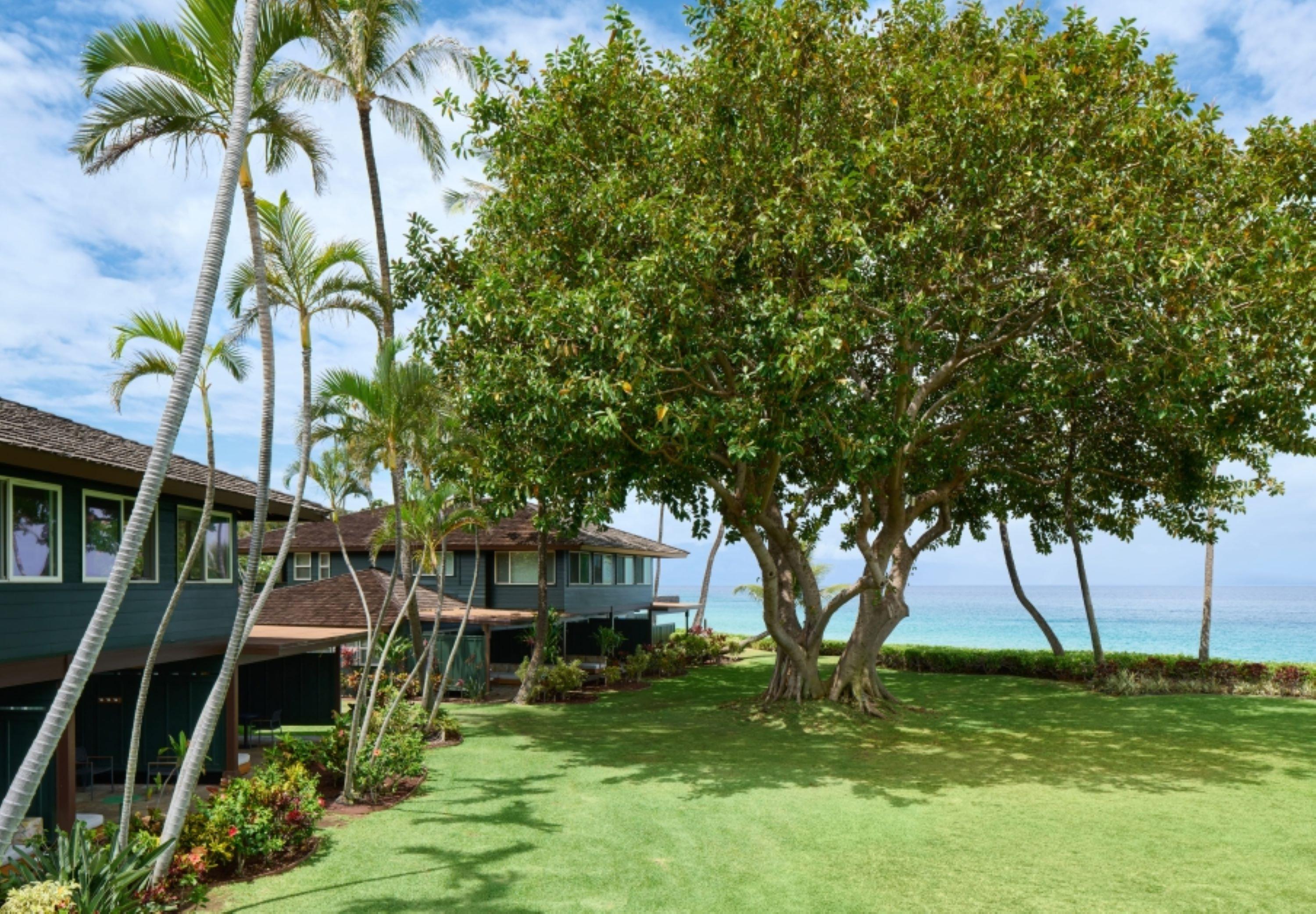 Resort Royal & 4*